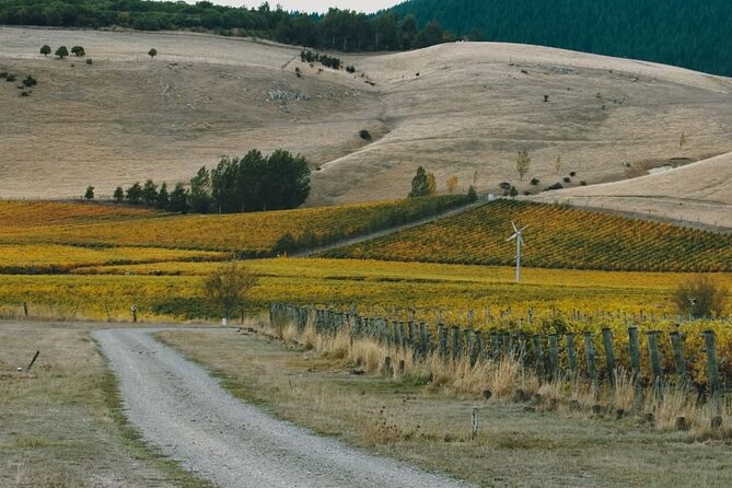 Waipara Valley Winery Tour Wine Tastings and Scenic Views - Entering Waipara Valley: What Makes This Day Different