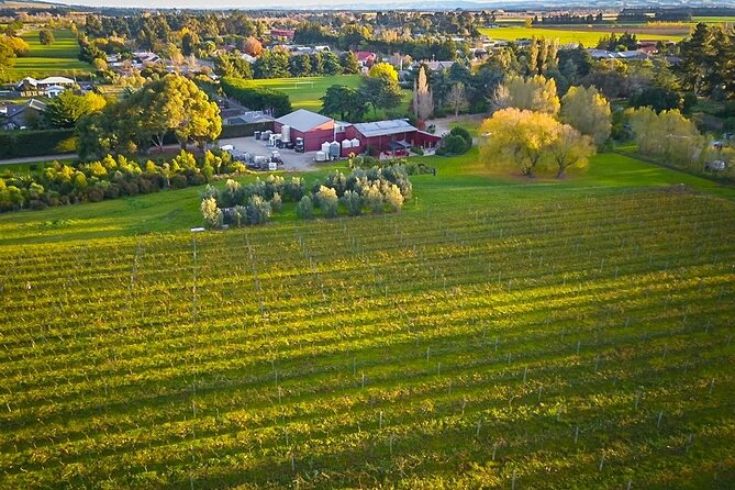 Waipara Valley Winery Tour Wine Tastings and Scenic Views - Guided Tastings That Teach Without Turning Into a Lecture