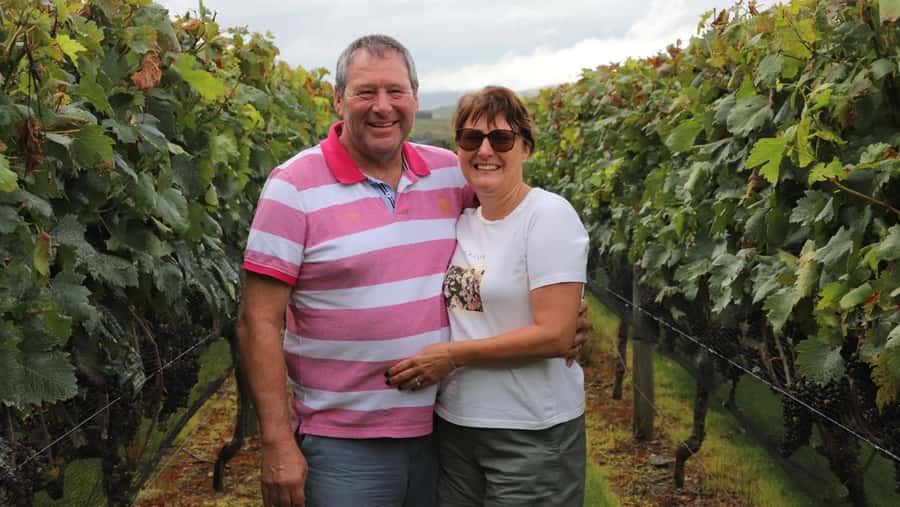 Wellington: Martinborough Private Winery Tour with Lunch - A Wellington-to-Martinborough day that’s built for real wine time