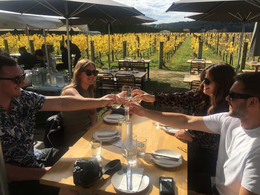 Wellington: Martinborough Private Winery Tour with Lunch - The drive through the Hutt Valley and the Remutaka stop that adds perspective