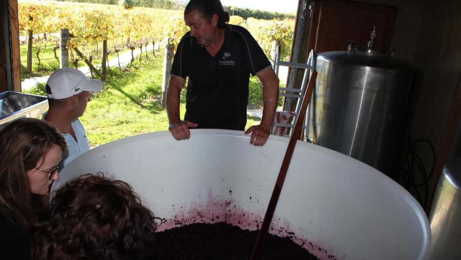 Wellington: Martinborough Private Winery Tour with Lunch - Tastings with purpose: how to taste across Pinot, Syrah, and the whites