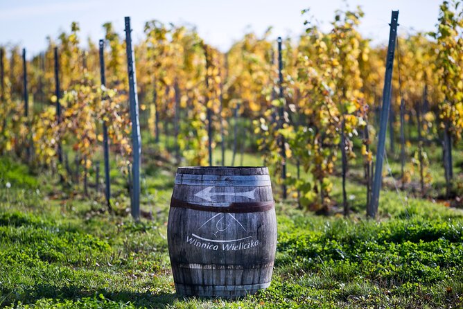 Wieliczka Vineyard: Wine tasting with local snacks - Winnica Wieliczka: vines first, then tasting