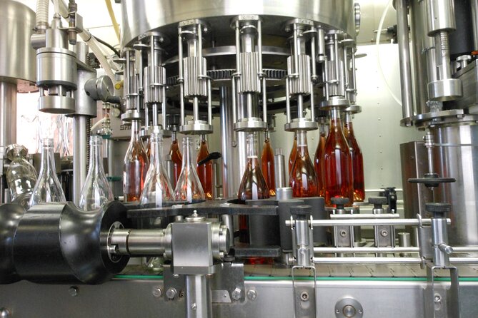 Willamette Valley Boutique Winery Tour with Lunch - Who this tour fits best (and who should think twice)