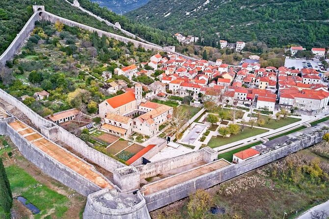 Wine Adventure with Peljesac Winery and Ston Tour - Mali Ston oysters and fish: how to handle lunch without feeling rushed