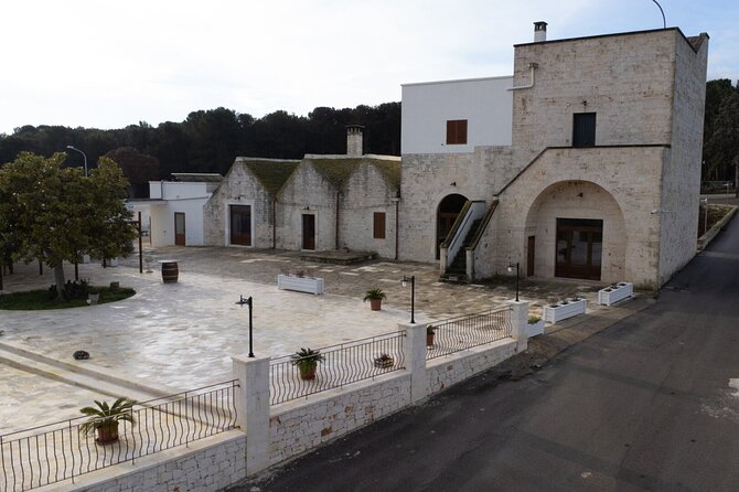 Wine and Food Pairing Experience at Alberobello Winery - Key things to know before you go