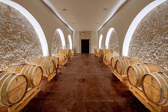 Wine and Food Pairing Experience at Alberobello Winery - When the Guide Explains the Why: How to Get the Best from the Pairing