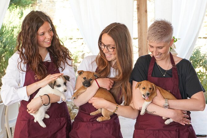 Wine and food tasting in an organic family winery - Casa Lucii’s organic family winery: why it feels personal