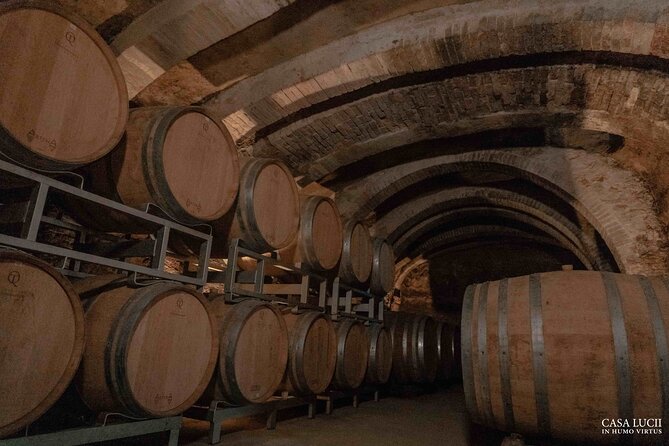 Wine and food tasting in an organic family winery - Eight organic wines, plus the IGT Sangiovese Arturo moment