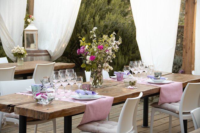 Wine and food tasting in an organic family winery - Price and logistics: is $108.89 worth it?