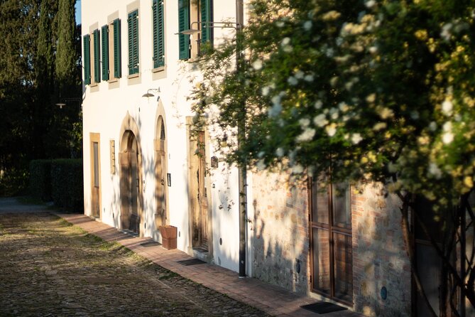 Wine and food tasting in an organic family winery - The 12:00 pm start and what “near San Gimignano” really means