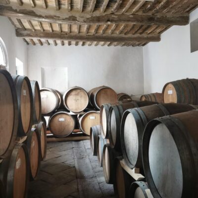 Wine Experience in an Organic Chianti Winery - The 90-minute cellar tour: 1810 cellar, chapel, and ancient olive mill