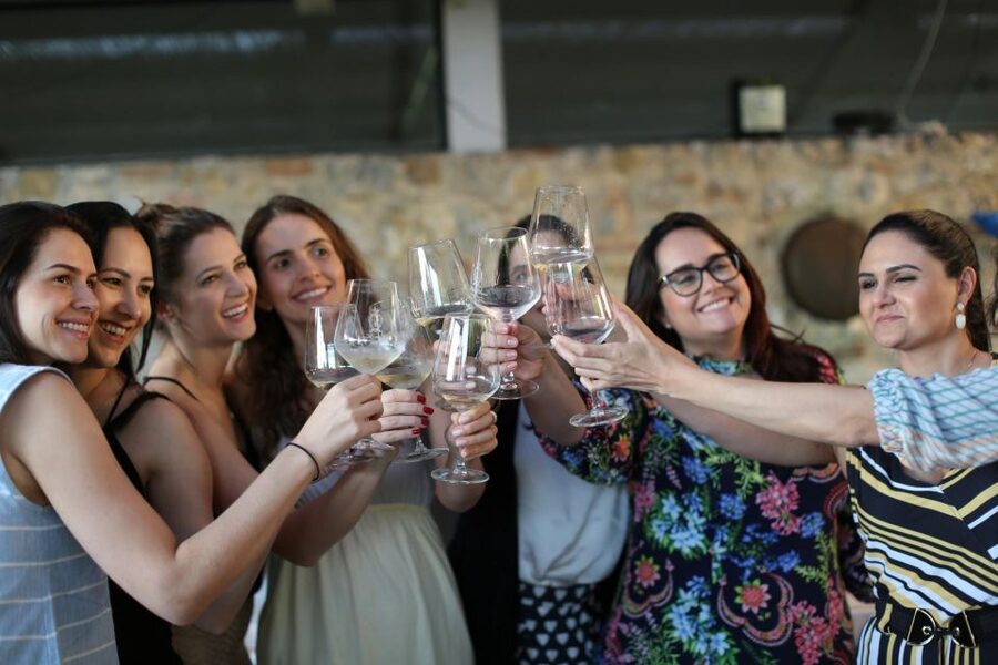 Wine Experience in an Organic Chianti Winery - Extra virgin olive oil tasting and a self-guided vineyard walk