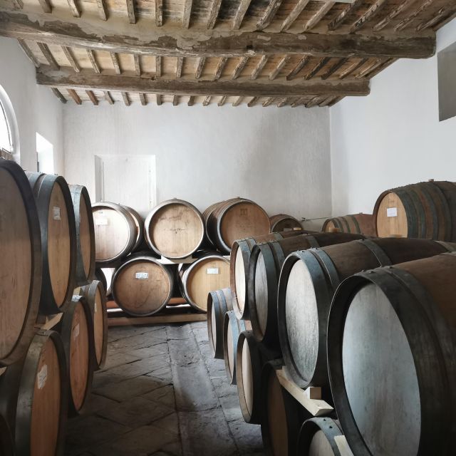 Wine Experience in an Organic Chianti Winery - The 90-minute cellar tour: 1810 cellar, chapel, and ancient olive mill