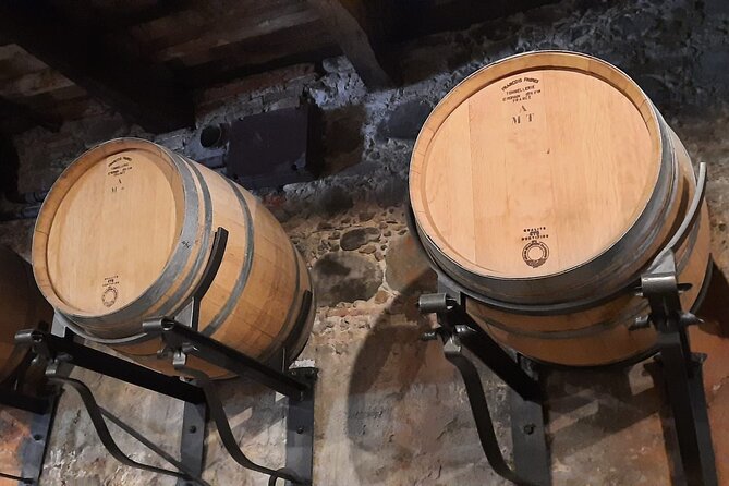 Wine Experience in farm vineyard & winery from Montecatini T. - Group size, pacing, and who this fits best