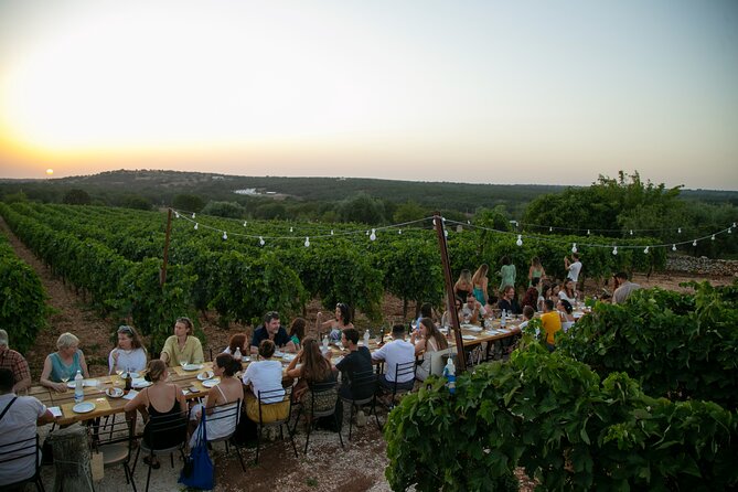 Wine Experience: vineyard, wines and food - Vineyard Walk: How the Itria Valley Wines Are Made