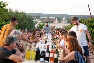 Wine Experience: vineyard, wines and food - Tasting 4 Wines: What You’ll Actually Taste