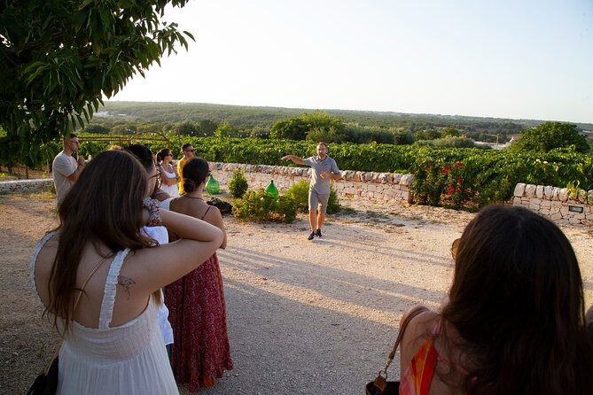 Wine Experience: vineyard, wines and food - Price and Value: Is $35.09 Worth It