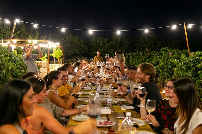 Wine Experience: vineyard, wines and food - Practical Tips Before You Go