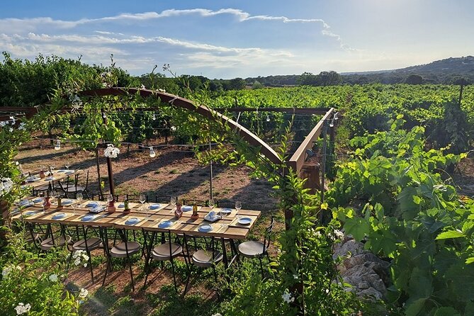 Wine Experience: vineyard, wines and food - Should You Book Vigna il Castagno’s Vineyard Tasting?