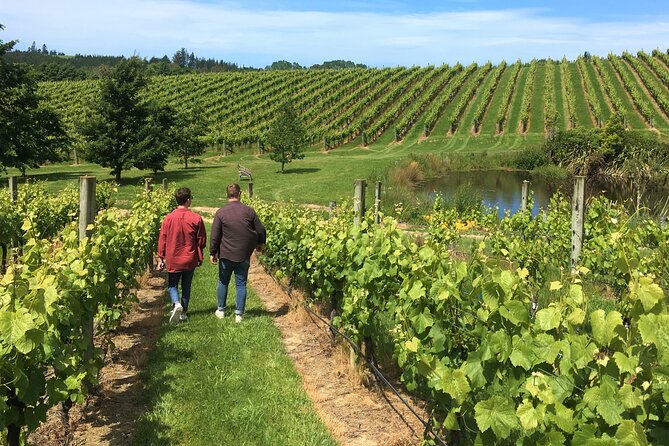 Wine Exposed Nelson Winery Tour - Nelson Wine Regions in One Easy 6-Hour Plan