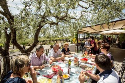 Wine & Food Tour at the Vesuvius Winery - The winery grounds: your guided walk on 4 hectares