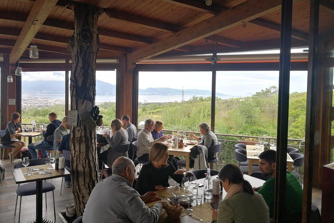 Wine & Food Tour at the Vesuvius Winery - Vesuvius National Park stop: enjoy the views, budget the tickets