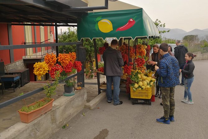 Wine & Food Tour at the Vesuvius Winery - Who should book this tour, and who should skip it