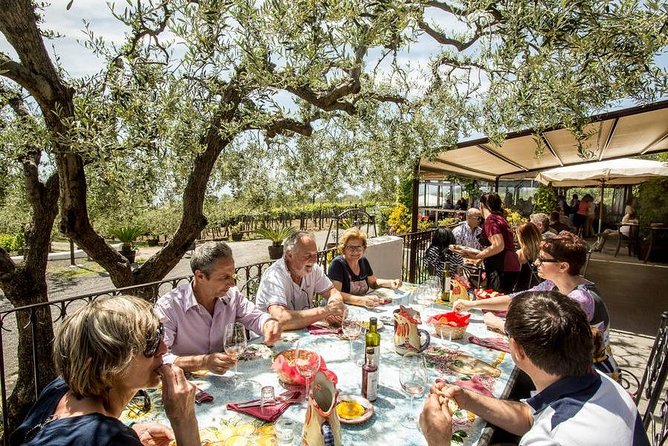 Wine & Food Tour at the Vesuvius Winery - The winery grounds: your guided walk on 4 hectares