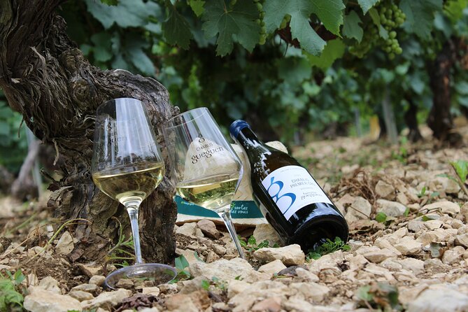 Wine Getaway with Tasting in the Chablis Vineyard - Key highlights at a glance