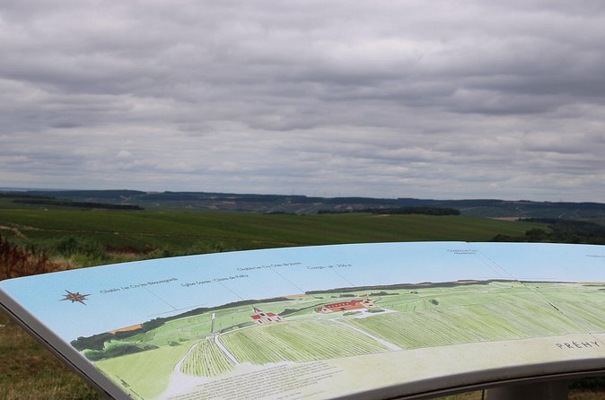 Wine Getaway with Tasting in the Chablis Vineyard - Logistics that matter: group size, language, and adult wine rules