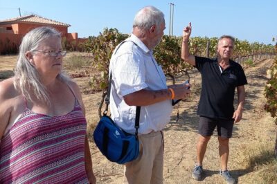 Wine Lovers: Winery Tour w/ Tasting & Tapas (Albufeira/Vilamoura) - The Winery Visit: 4 Wines, Cheese & Charcuterie, and Real Winemaking Talk