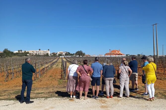 Wine Lovers: Winery Tour w/ Tasting & Tapas (Albufeira/Vilamoura) - Firewater and Pastel de Nata: The Portuguese Stop You’ll Remember