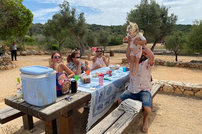 Wine Not Algarve Winery Tour - A 5-Hour Algarve Afternoon Built for Easy Enjoyment