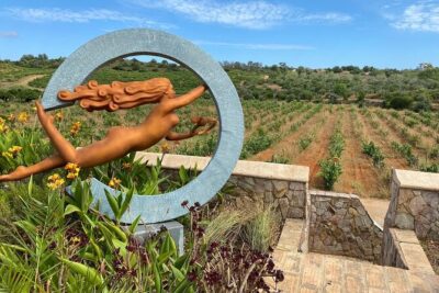 Wine Not Algarve Winery Tour - Getting From Lagos to the Vineyards: Pickup + Timing Reality
