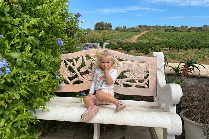 Wine Not Algarve Winery Tour - Stop 2: Parque Municipal do Sítio das Fontes—Trails, River Views, Picnic Energy