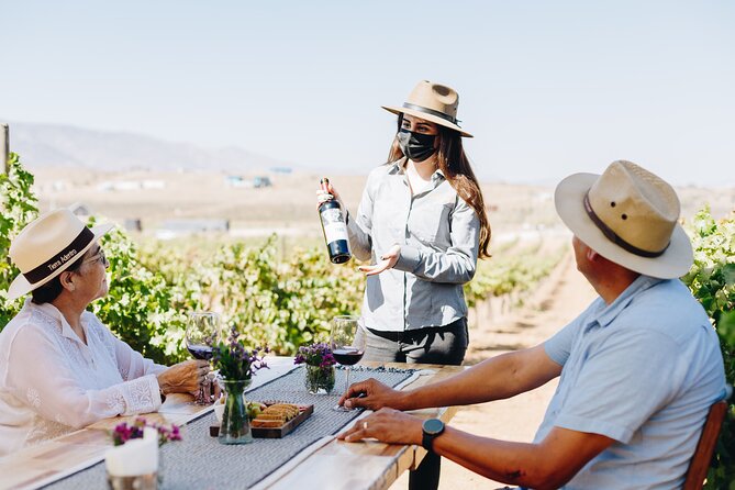 Wine Tasting Among Vineyards with Panoramic Views of the Valley - Key Things You’ll Like About Rondo del Valle Wine Tasting