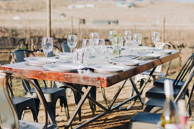 Wine Tasting Among Vineyards with Panoramic Views of the Valley - Cheese Board Pairing: Regional Bites That Keep It Balanced