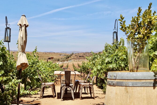 Wine Tasting Among Vineyards with Panoramic Views of the Valley - Stop at Rondo del Valle: One Location, No Fuss