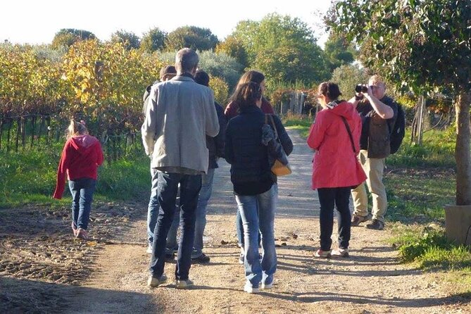 Wine Tasting and Guided Visit to the Vineyard and Cellar in S. Maria Imbaro - A Private Abruzzo Vineyard Evening at La Vinarte