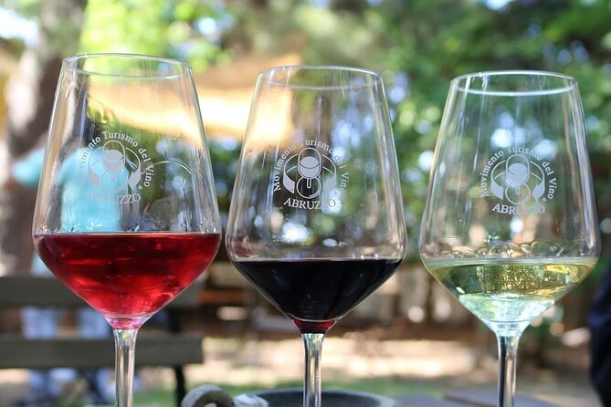 Wine Tasting and Guided Visit to the Vineyard and Cellar in S. Maria Imbaro - Why the Trabocchi-Coast Countryside Setting Changes the Feel