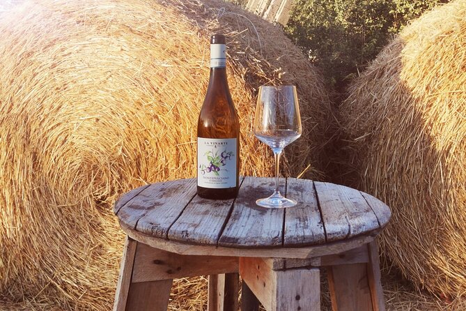 Wine Tasting and Guided Visit to the Vineyard and Cellar in S. Maria Imbaro - Price and Value: What $30.10 Buys You