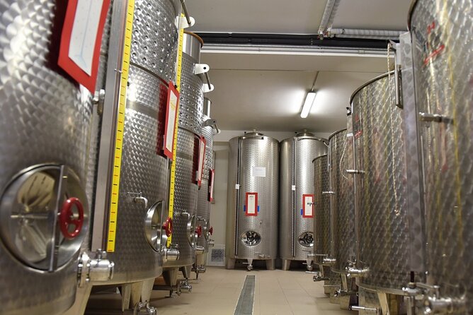 Wine Tasting and Guided Visit to the Vineyard and Cellar in S. Maria Imbaro - Timing, Weather, and Planning Your Day Around 6:30 pm