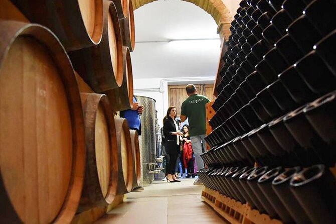 Wine Tasting and Guided Visit to the Vineyard and Cellar in S. Maria Imbaro - What Happens on the 90-Minute Walk Through Vineyard and Cellar