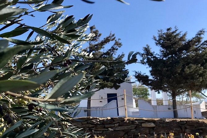 Wine Tasting and Tour in Saint Anna Winery in Naxos - What you’ll drink: a lineup that goes beyond one safe red