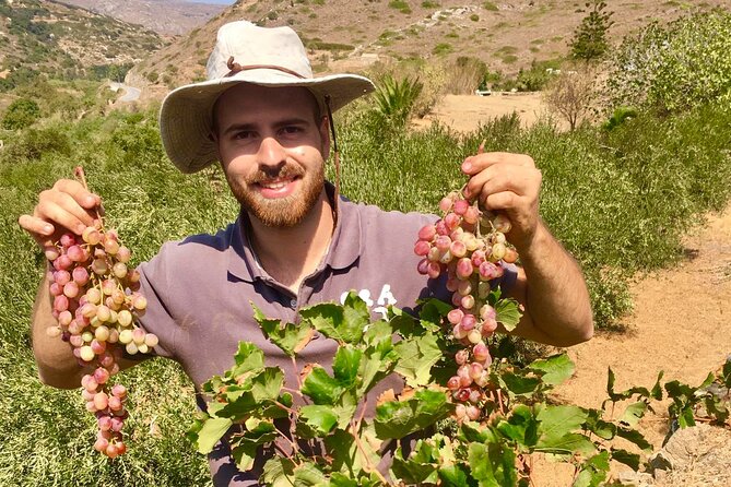 Wine Tasting and Tour in Saint Anna Winery in Naxos - When plans should bend: weather, time drift, and what to do about it