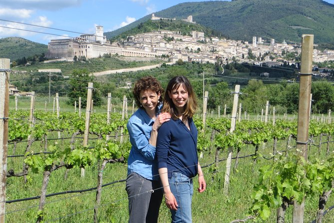 Wine tasting and walk in the Vineyard of Assisi - After the tasting: your walk through the vineyards and the Assisi view