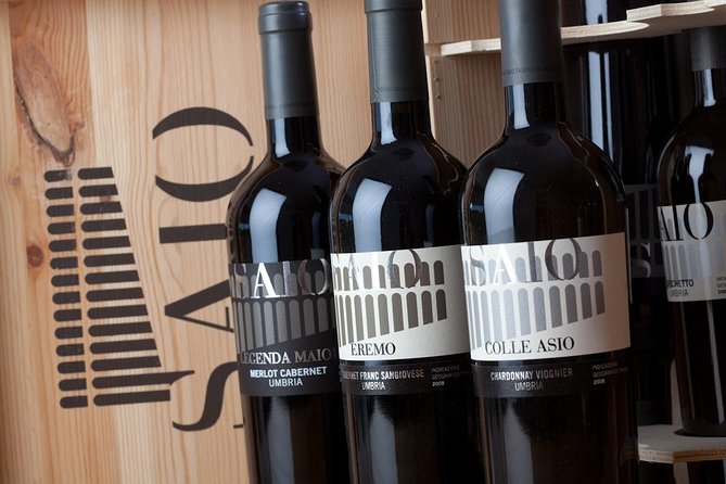 Wine tasting and walk in the Vineyard of Assisi - Service, comfort, and group setup