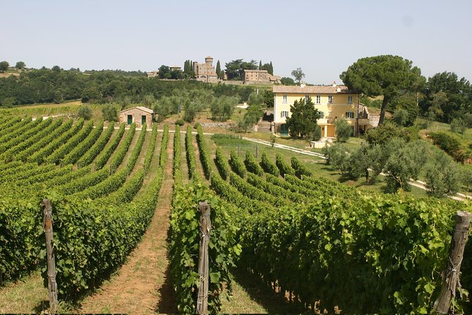 Wine Tasting and Winery tour - Key Highlights You’ll Actually Feel During the Tour