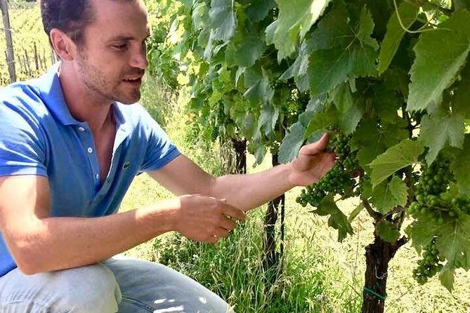 Wine Tasting and Winery tour - What You’re Actually Tasting (and why it’s a smart lineup)