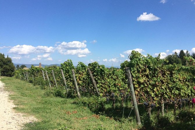 Wine Tasting and Winery tour - Price and Value: Is $42.05 Worth It?